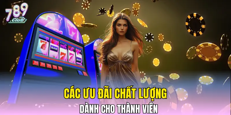Các ưu đãi chất lượng dành cho thành viên